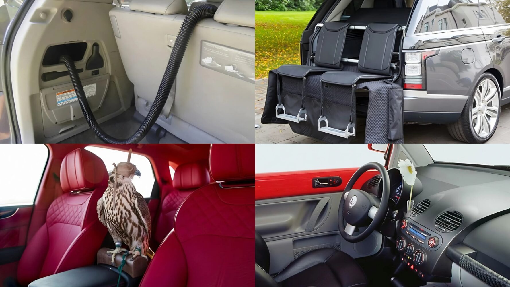 Ներկառուցված փոշեկուլից մինչև բազեի համար նախատեսված կանգնակ․ 10 ամենազարմանալի ավտոմոբիլային օպցիաները (ֆոտոշարք)